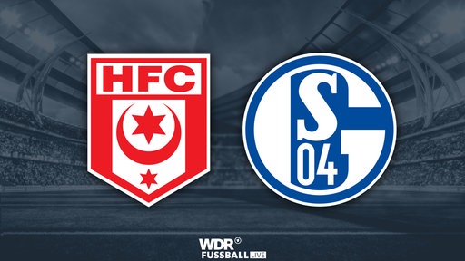 Hallescher FC - Schalke 04
