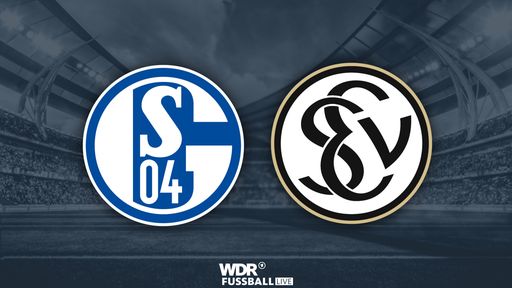 Schalke 04 gegen SV 07 Elversberg
