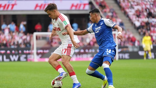 Kölns Thijs Dallinga behauptet den Ball gegen Adam Daghim von der TSG
