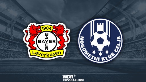 Grafik mit den Logos der beiden Vereine Bayer Leverkusen und NK Celje