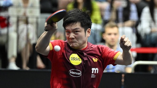 Fan Zhendong von Borussia Düsseldorf