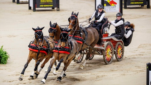 Anna Mareike Meier im Vierspanner bei den German Masters