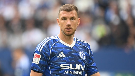 Edin Dzeko im Trikot des FC Schalke 04