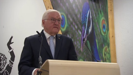 Bundespräsident Frank-Walter Steinmeier