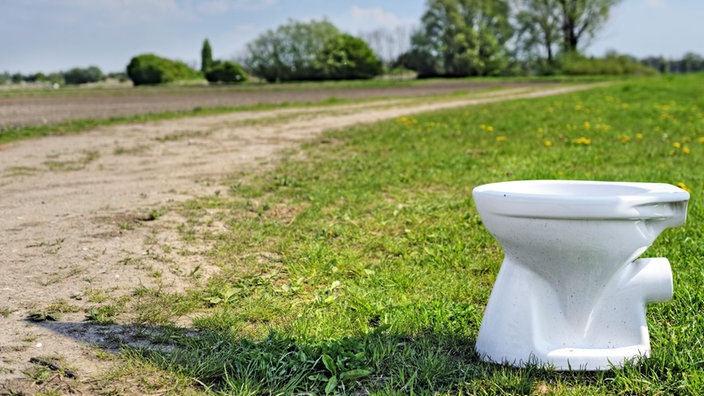  WC-Schüssel auf einem Feld 
