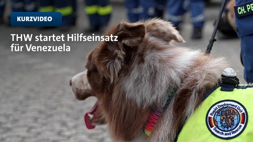 THW startet Hilfseinsatz für Venezuela | Video | tn