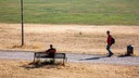 Trockenheit und Dürre im Kölner Beethovenpark (21.07.2026)