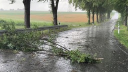 Abgeknickter Ast auf einer Fahrbahn in Marsberg