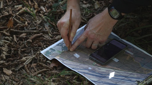 Ein Polizist untersucht den Standort am Hambacher Forst für eine geplante Fahndung