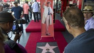 Peter Falks Stern auf dem Walk of Fame