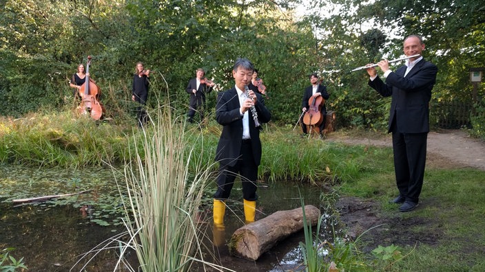 Musiker stehen in einem Wald