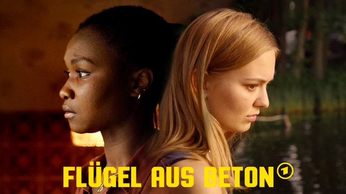 "Flügel aus Beton" erhält den Sonderpreis des Roten Kreuzes von Monaco.