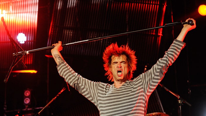 Die Toten Hosen beim "Rockpalast" 2009