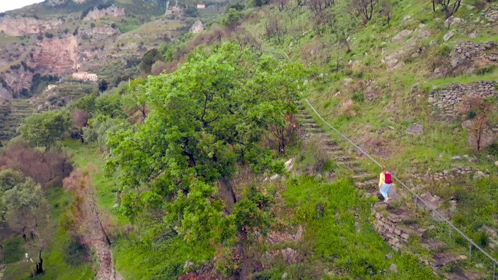 Tamina Kallert steigt auf einem Wanderweg eine Steintreppe empor