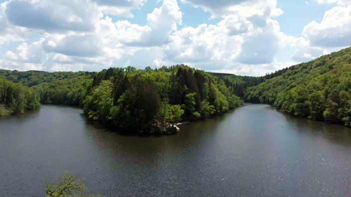 Stausee inmitten eines dichten Waldes