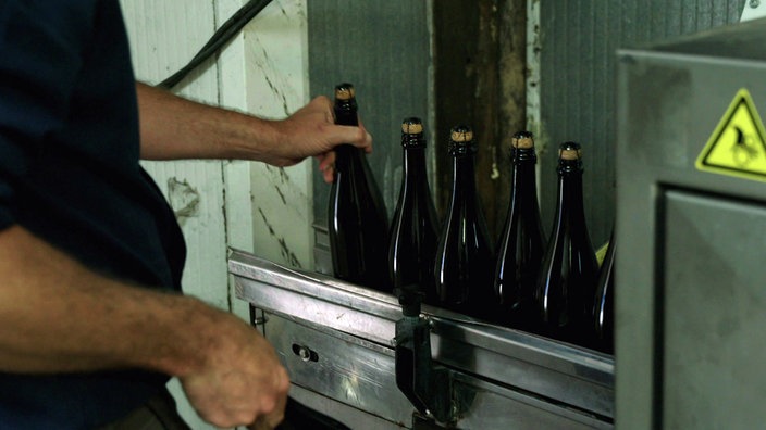 Abfüllung von Cidre in Flaschen