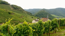 Das Ahrtal