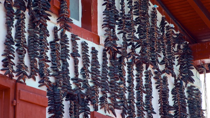 An Schnüren aufgereihte Chilischoten hängen an einer Hauswand