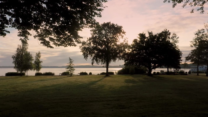 Wiese mit Bäumen an einem See