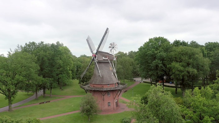 Windmühle auf einer Wiese inmitten von Bäumen