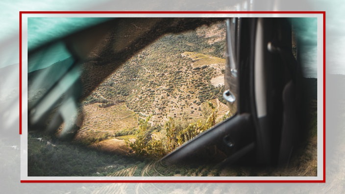 Blick durch ein Autofenster auf Weinberge