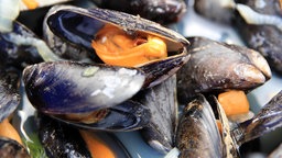Geöffnete Miesmuscheln