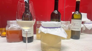 Weißer Kombucha mit Limette von Sommelier Dennis Ruhl