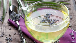 Schnelles Aprikosen-Sorbet mit Lavendelsirup