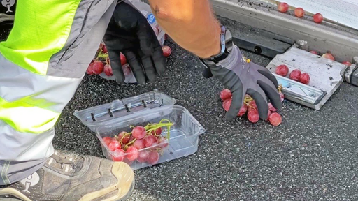 Nahaufnahme einer offenen Packung Trauben, die auf der Autobahn liegt. Eine Person mit Arbeitshandschuhen sammelt einzelne Beeren daneben auf.