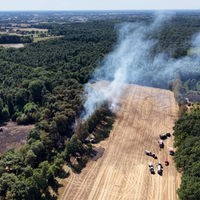 Ein Feldbrand entzündet den Wald in Borken