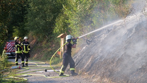 Einsatzkräfte der Feuerwehr Meschede bei den Löscharbeiten eines Waldbrandes in Freienohl