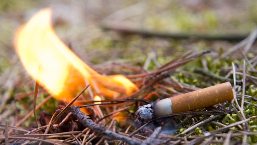 Eine Zigarettenkippe entzündet in kürzester Zeit den trockenen Waldboden