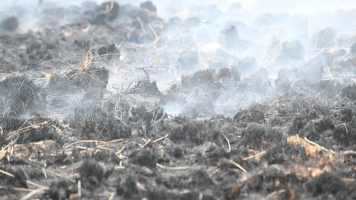 Rauch steigt aus dem Boden in den abgebrannten Waldgebieten im Naturschutzgebiet Hohes Venn, 
