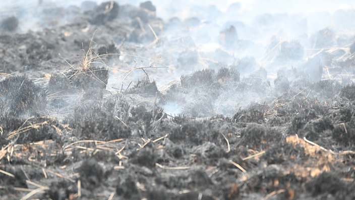 Rauch steigt aus dem Boden in den abgebrannten Waldgebieten im Naturschutzgebiet Hohes Venn, 