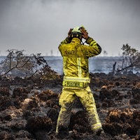 Ein Feuerwehrmann steht auf einer verkohlten Fläche