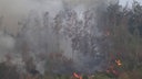 Flammen lodern bei einem Waldbrand im Hürtgenwald 