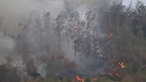 Flammen lodern bei einem Waldbrand im Hürtgenwald 