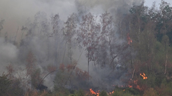 Flammen lodern bei einem Waldbrand im Hürtgenwald 