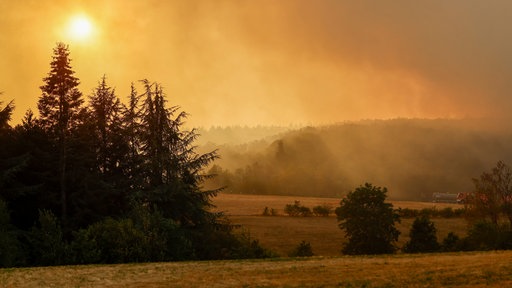 Rauch verdunkelt den Himmel wegen des Waldbrands im Hürtgenwald