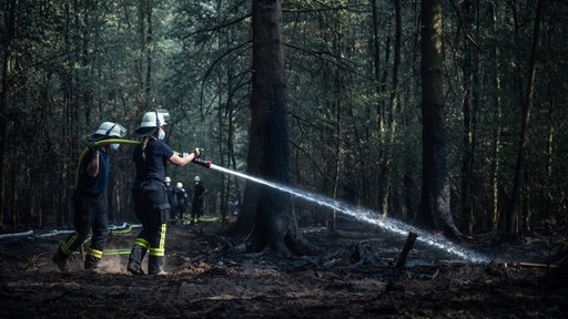 Feuerwehrmänner sind bei Nachlöscharbeiten in einem Waldstück im Hürtgenwald im Einsatz.