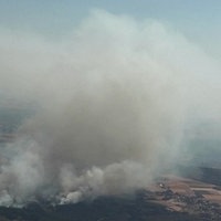 Waldbrand im Hürtgenwald
