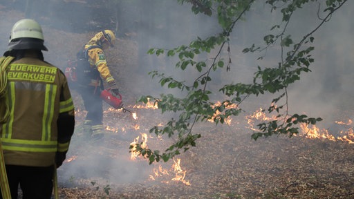 Die Feuerwehr ist beim Waldbrand im Hürtgenwald im Einsatz. Mehrere Hundert Hektar Waldfläche stehen in Flammen.