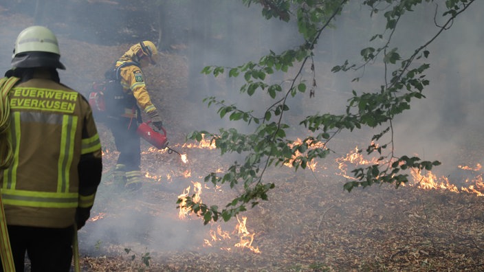 Die Feuerwehr ist beim Waldbrand im Hürtgenwald im Einsatz. Mehrere Hundert Hektar Waldfläche stehen in Flammen.