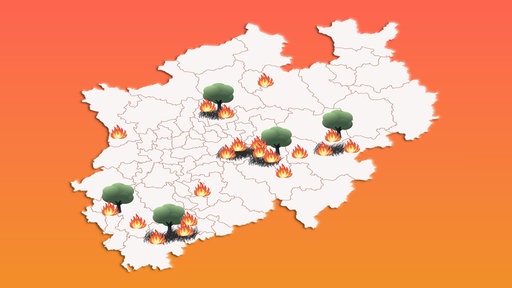 Die Grafik zeigt, wo es dieses Jahr in NRW schon Waldbrände gab.