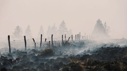 Rauch steigt von einem verkohlten Feld im Hohen Venn auf, während ein Waldbrand wütet.