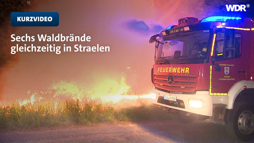 Waldbrand in Straelen