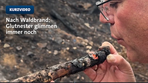 Waldbrand Sundern | Video | tn