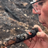 Waldbrand Sundern | Video | tn