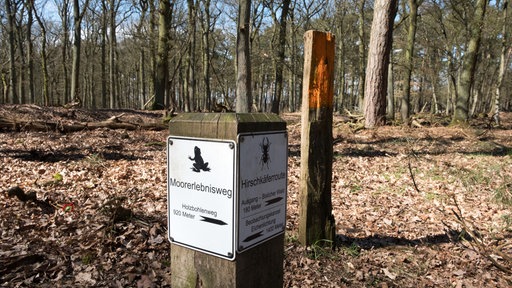 Wegweiser der Hirschkäferroute und des Moorerlebniswegs