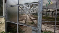 Gewächshaus mit eingeschlagenen Scheiben